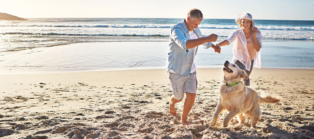 pet friendly hotel southern california